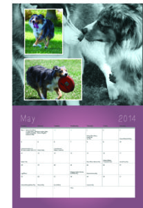 FWCDP 2014 Calendar - May